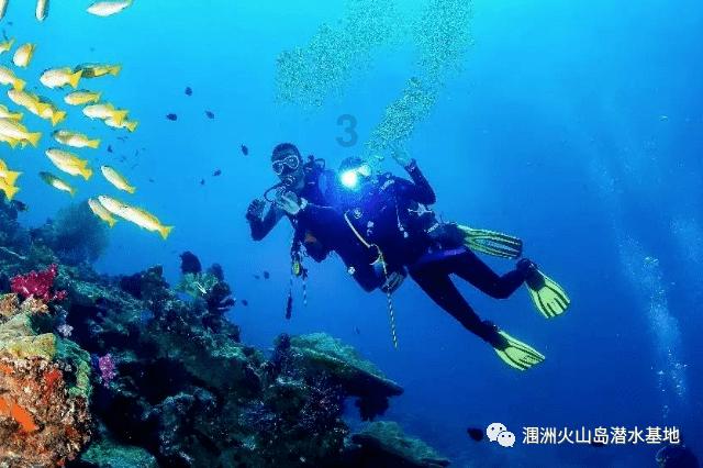 机智问答网页-深度解析跟心动的女孩表白她说差点就相信了该怎么回答?问题