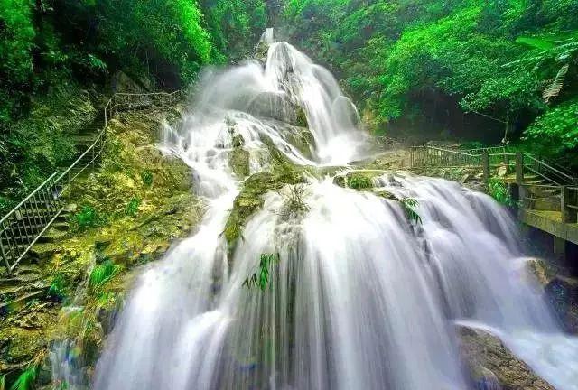 虫虫助手下载
